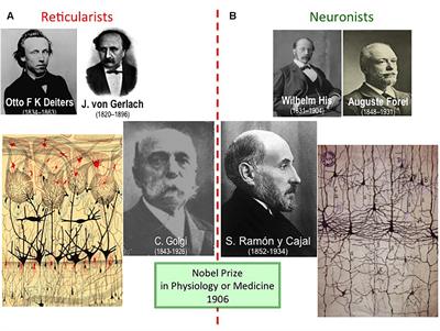 Cajal and the Spanish Neurological School: Neuroscience Would Have Been a Different Story Without Them